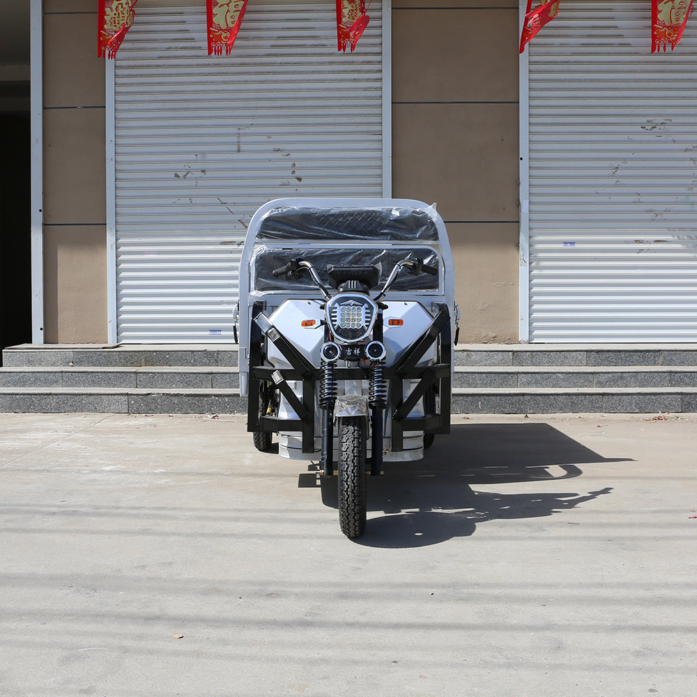 Wholesale 1200W Cargo Electric Tricycle Electric Trike Ebike 3 Wheel Electric Bicycle for Adults
