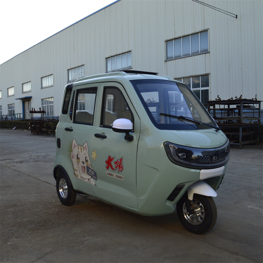 Factory Steel Enclosed 3-Wheel Trike for Adults Electric /Motorized Passenger Tricycle with Closed Cabin