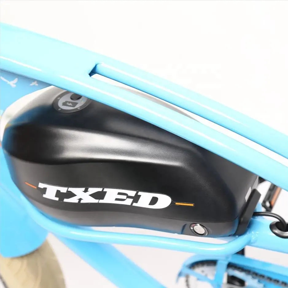 Unique Design 48v 250w Battery E Beach Cruiser Bicycle Electric Bike 26Inch Fat Tire Electric Chopper Bike